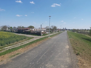 Teren extravilan, 3000 m2, Satu-Mare - imagine 5