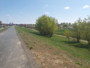 Teren extravilan, 3000 m2, Satu-Mare - imagine 7