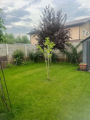 Duplex la cheie- situat in Utvin - imagine 12