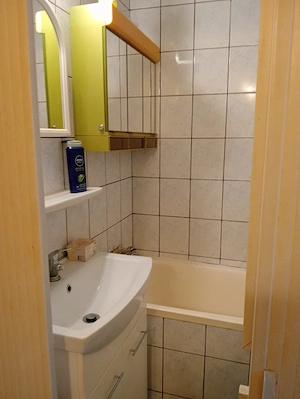 Garsoniera de inchiriat in Timisoara - imagine 5