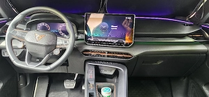 Cupra Terramar  - imagine 8