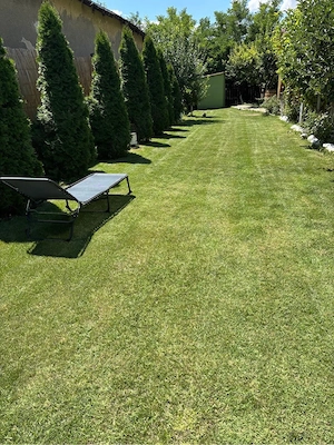 Casa cu etaj cu spatiu comercial si hala service auto comuna Independenta DN25 Judetul Galati - imagine 2
