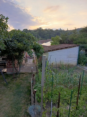 Vand casa 4 camere in Resita - imagine 11