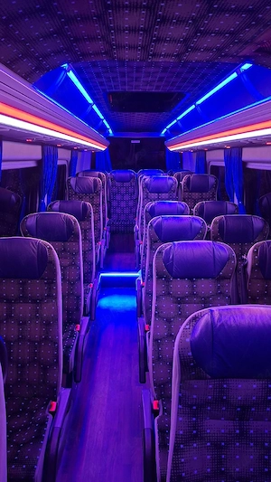 Vand microbuz Mercedes Sprinter 516 - imagine 7