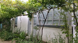 Casa de vânzare în Jurilovca - imagine 3