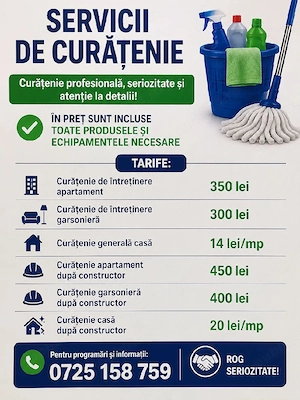 curățenie ideală 