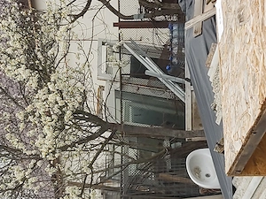 Casa de vânzare in Sinicolau Mic Arad - imagine 3