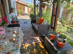Casă de vânzare în inima Deltei  - imagine 2