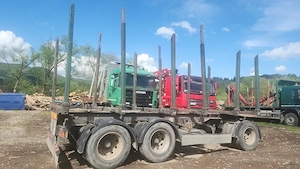 Remorca Panav transport lemn, bușteni  - imagine 3