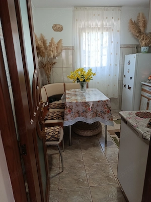 Casă de vânzare în inima Deltei  - imagine 6