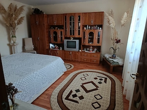 Casă de vânzare în inima Deltei  - imagine 5