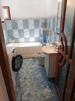 Casă de vânzare în inima Deltei  - imagine 7