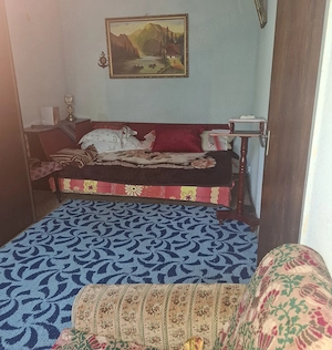 Groapa-apartament 3 camere,parter,boxa - imagine 6