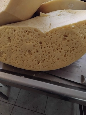 vand branza de burduf de vaca