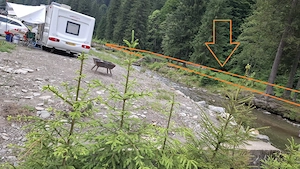Teren 3.015 mp | vis-a-vis Cabana Voina | POT construcție 5% | Zonă Turistică Premium - imagine 3