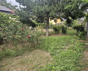 Casă cu teren 625 mp în Barieră aproape de Școala gimazială Ion Țuculescu și de biserică - imagine 3