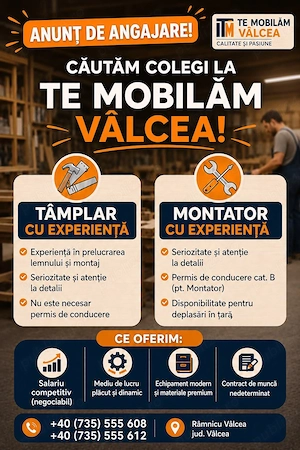 Angajam tâmplari cu experienta