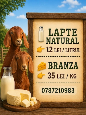 Lapte de capra și brânză 