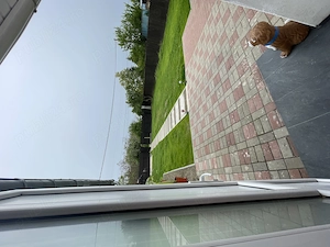  DE VÂNZARE   Casă renovată complet, gata de mutare | Bucium   Păun, Iași - imagine 3
