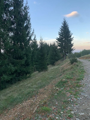 Pământ extravilan 5000mp în Maramureș 33 km de Sichetu Marmatiei 10km de Mănăstirea Bârsana sat GLOD - imagine 7