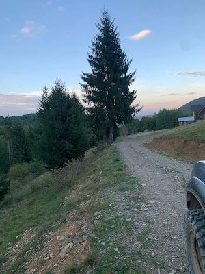 Pământ extravilan 5000mp în Maramureș 33 km de Sichetu Marmatiei 10km de Mănăstirea Bârsana sat GLOD - imagine 2