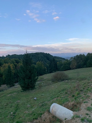 Pământ extravilan 5000mp în Maramureș 33 km de Sichetu Marmatiei 10km de Mănăstirea Bârsana sat GLOD - imagine 4