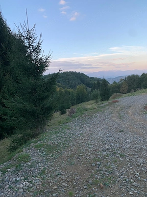 Pământ extravilan 5000mp în Maramureș 33 km de Sichetu Marmatiei 10km de Mănăstirea Bârsana sat GLOD - imagine 8