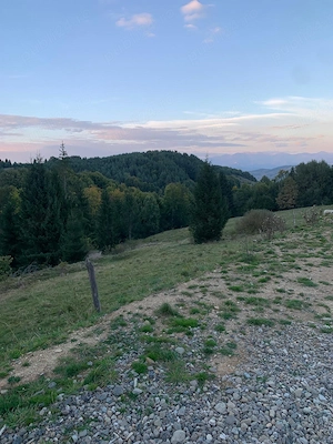 Pământ extravilan 5000mp în Maramureș 33 km de Sichetu Marmatiei 10km de Mănăstirea Bârsana sat GLOD - imagine 9