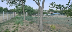 De vanzare teren intravilan- Comuna Borcea, Calarasi - imagine 7