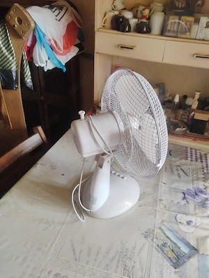 Ventilator camera
