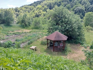 Casă Naturală în Transilvania - imagine 3