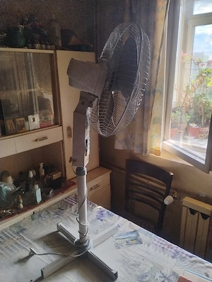 Ventilator camera