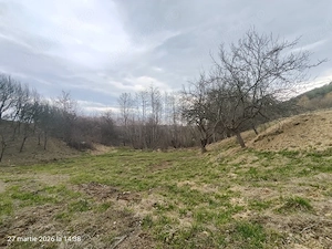 Teren extravilan 1.200 mp de vânzare   Sibiel Zonă cu potențial turistic - imagine 2
