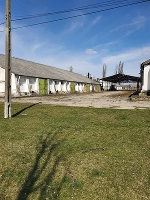 De vanzare baza de cereale cca 40.000 mp, intravilan, Oras Vânju Mare - imagine 3
