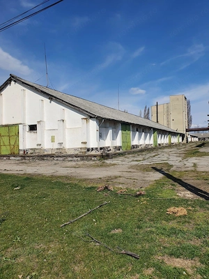 De vanzare baza de cereale cca 40.000 mp, intravilan, Oras Vânju Mare - imagine 7