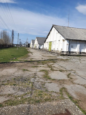 De vanzare baza de cereale cca 40.000 mp, intravilan, Oras Vânju Mare - imagine 9