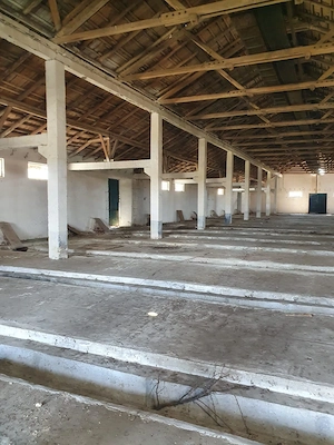 De vanzare baza de cereale cca 40.000 mp, intravilan, Oras Vânju Mare - imagine 5