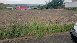 Vând parcele de teren intravilan 5 ari in Sâncraiu de Mureș, Mureș - imagine 2