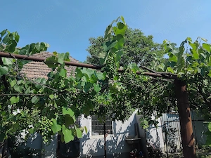 Casa 3 camere,dependinte, teren-intrare pe2 strazi in Tarnaveni-Centru - imagine 4
