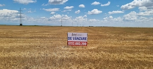 Vand 26 ha teren agricol, sat Gruiu, com Cateasca, Arges