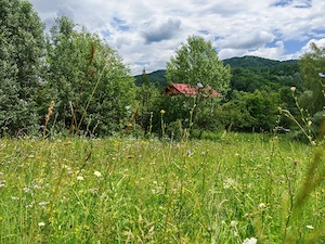 Teren INTRAVILAN loc. Sultanu_Visinesti, (1.20 h Bucuresti, 15 min Provita_Breaza, 30 min Campina) - imagine 4