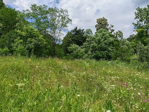 Teren INTRAVILAN loc. Sultanu_Visinesti, (1.20 h Bucuresti, 15 min Provita_Breaza, 30 min Campina) - imagine 7