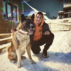 Akita American masculi - imagine 4