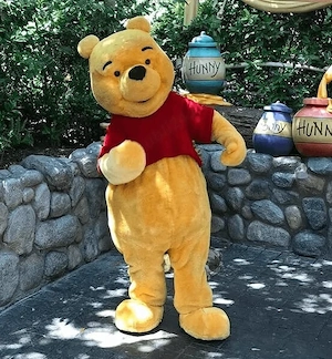 Mascote de plusi  - imagine 4