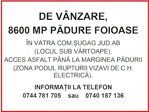 Vânzare teren pădure loc. Șugag - Jud. Alba - imagine 4