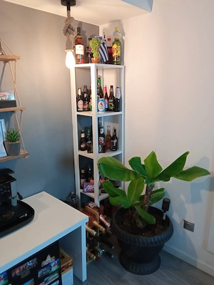 Casa moderna constructie noua, mobilata si utilata, ideală pentru 2 familii - imagine 9