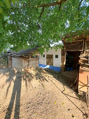Vand casa Cenalos Bihor - imagine 4