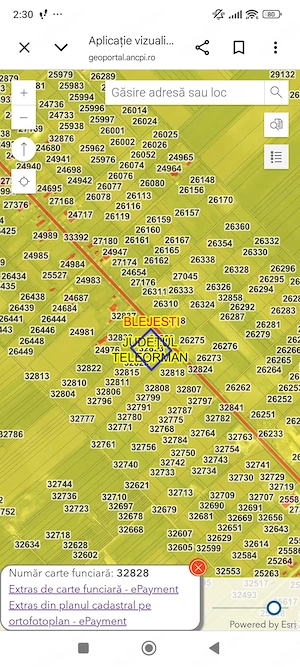 Teren intravilan 4080mp Blejesti - Videle, stradal, DJ503, 60km Buc - imagine 6