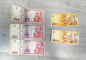 Bancnote 10000 lei 1994 + 5000 lei 1998