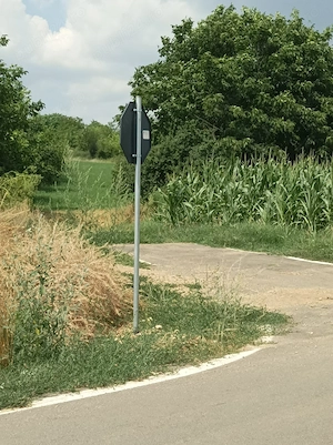 Teren  3400 comuna Daia la 200 m de DN5 Giurgiu-Bucuresti  - imagine 8